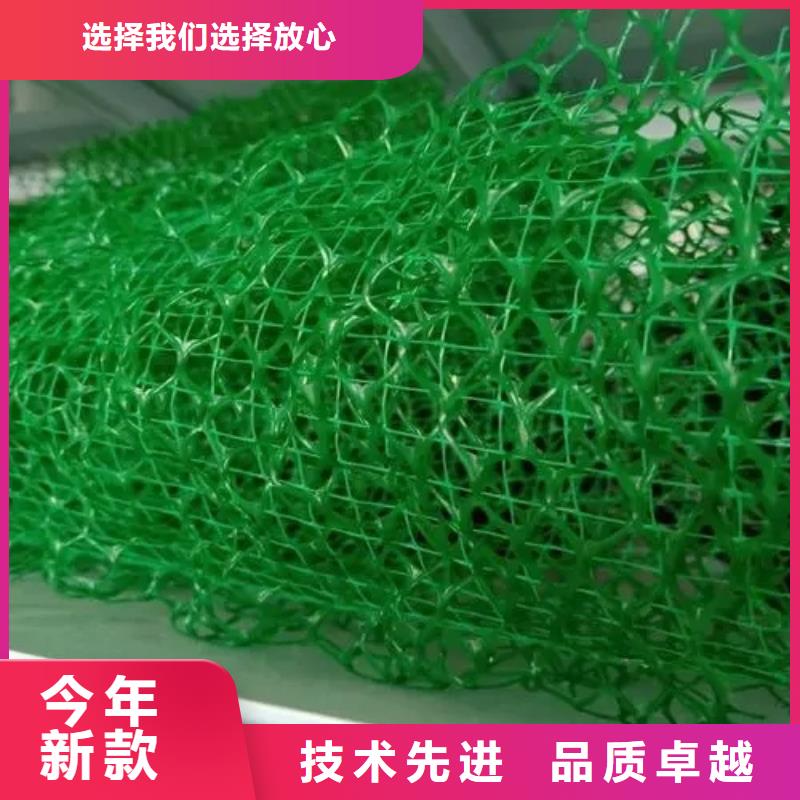 三維植被網防護虹吸排水收集系統品牌大廠家