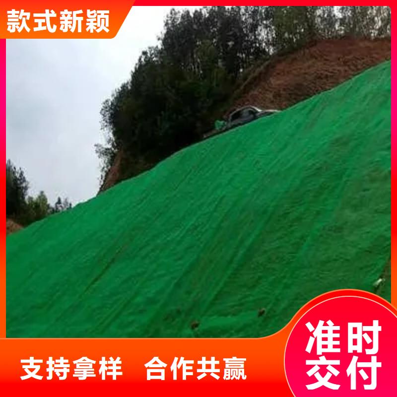 三維植被網防護虹吸排水收集系統廠家實力大