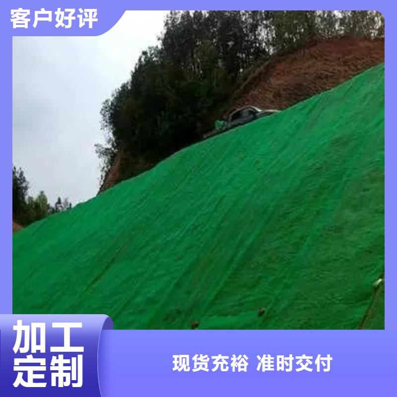 三維植被網,水泥化糞池檢驗發貨
