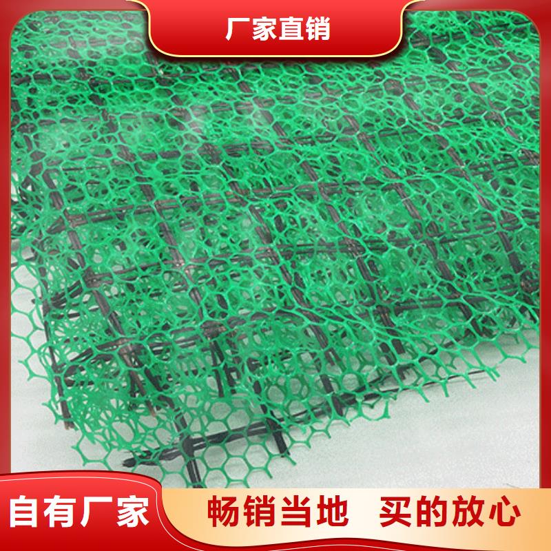 三維植被網植草格口碑好實力強