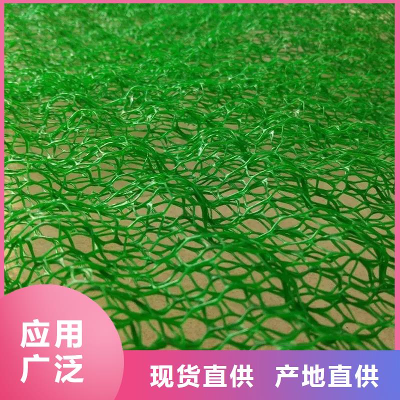 三维植被网排水板精心打造