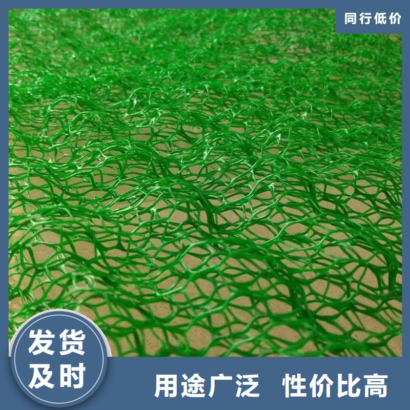 三維植被網邊坡復綠