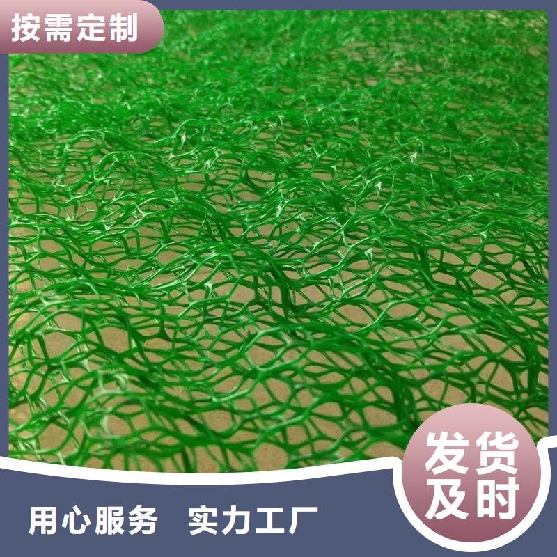 三維植被網-水泥化糞池標準工藝