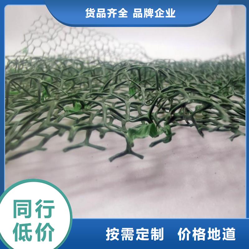 三維土工網(wǎng)墊型號(hào)全_全國(guó)供應(yīng)