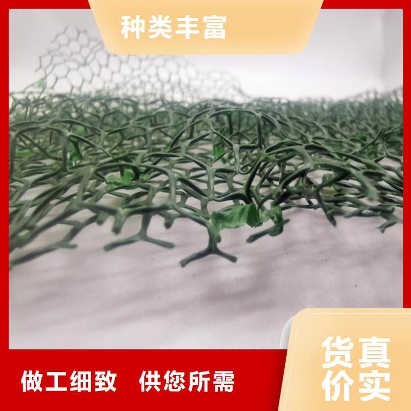 【三維植被網(wǎng)】,水泥化糞池0中間商差價