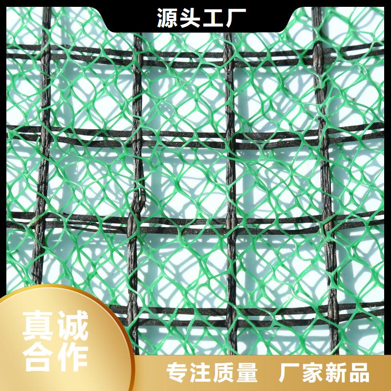 三維土工網墊價格-生產廠家