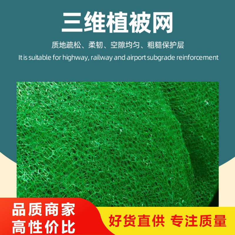 三維土工網墊閃電發貨
