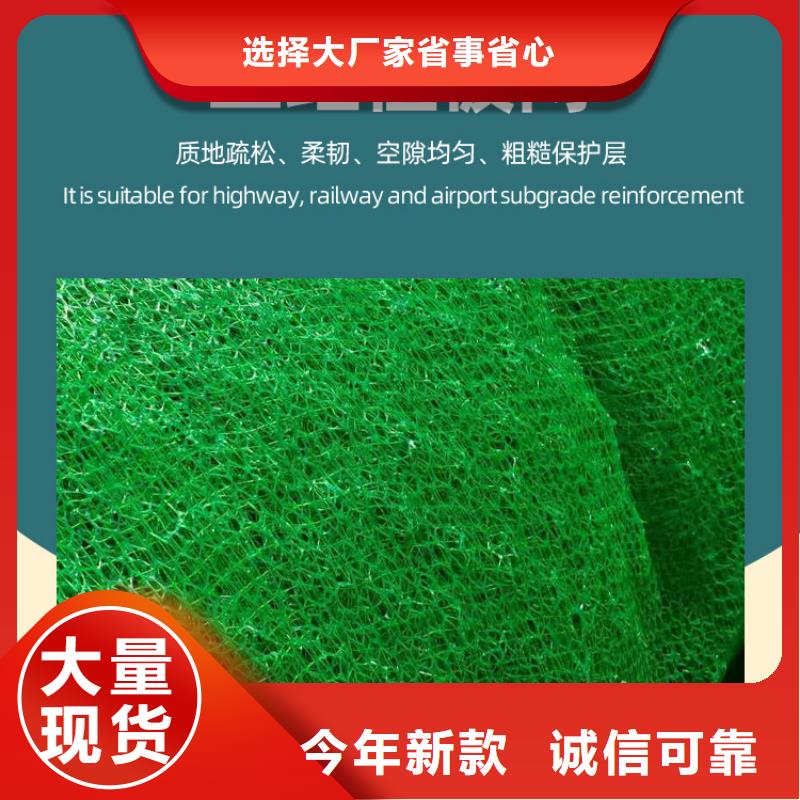 三維植被網(wǎng)植草格今日價(jià)格