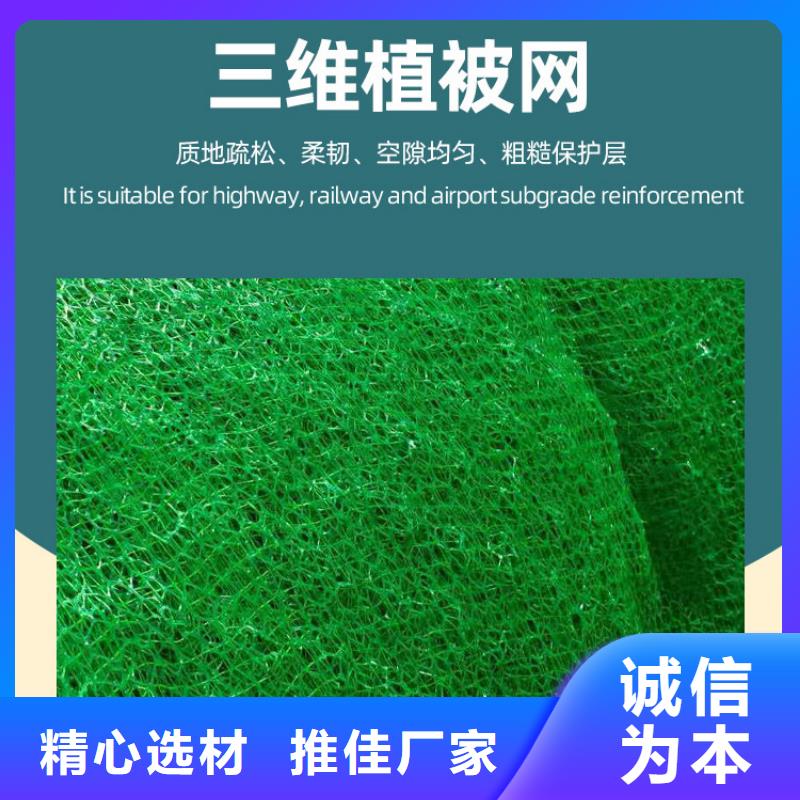 三維土工網(wǎng)墊工廠價(jià)