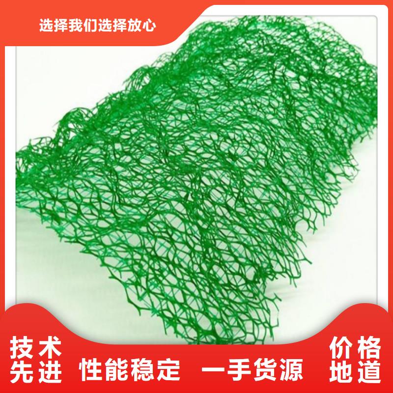 【三維植被網植草格產品細節】