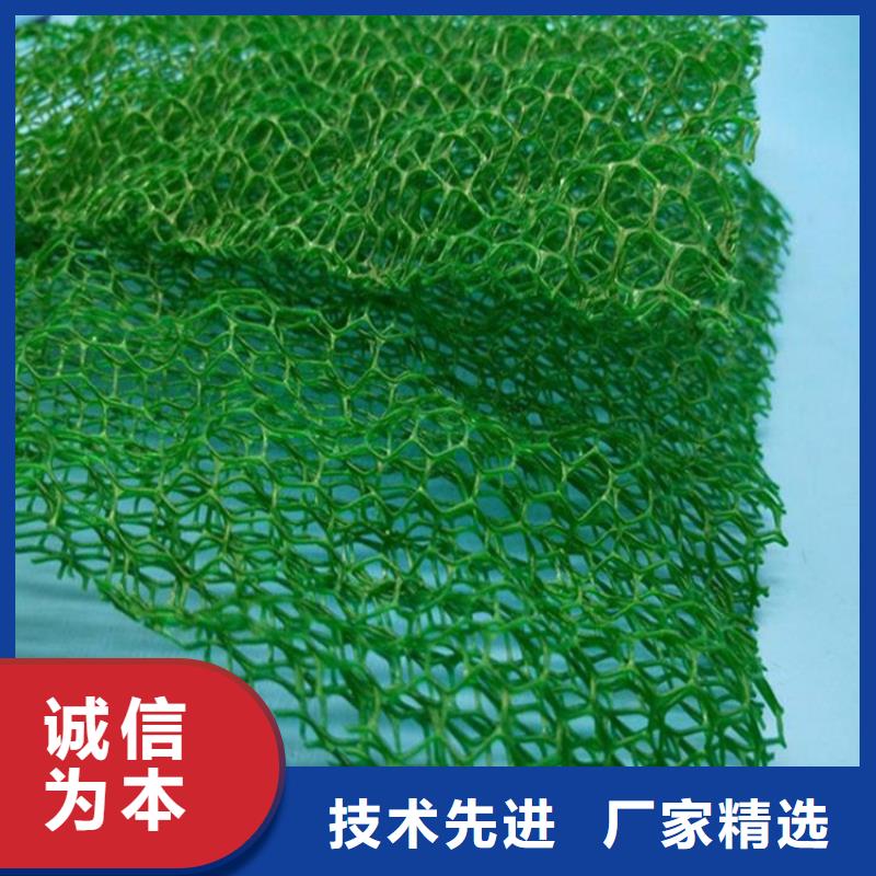 三維土工網(wǎng)墊工廠價(jià)