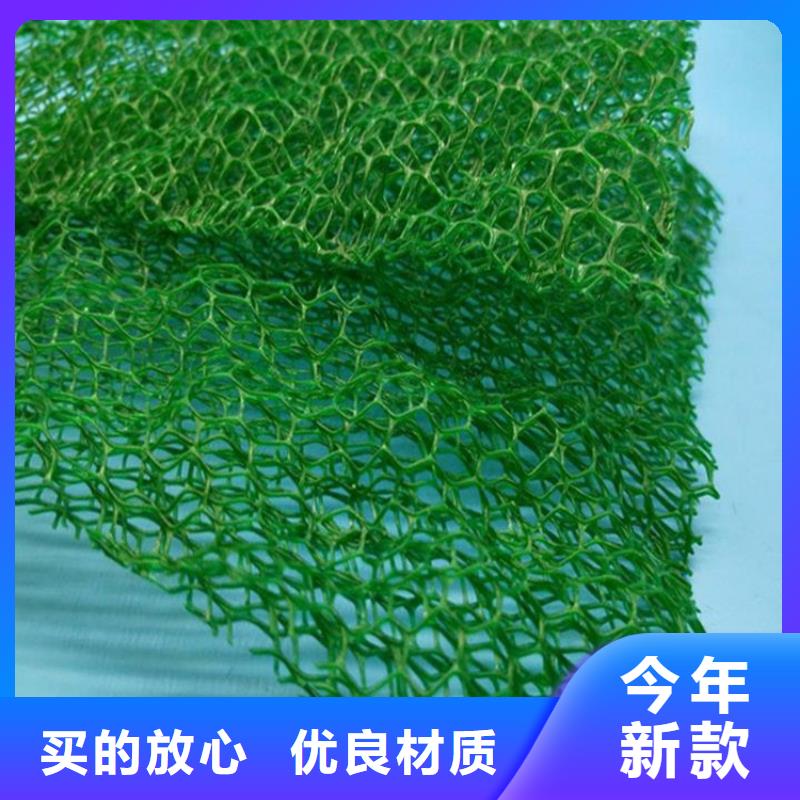 【三維植被網】植草格大量現貨供應