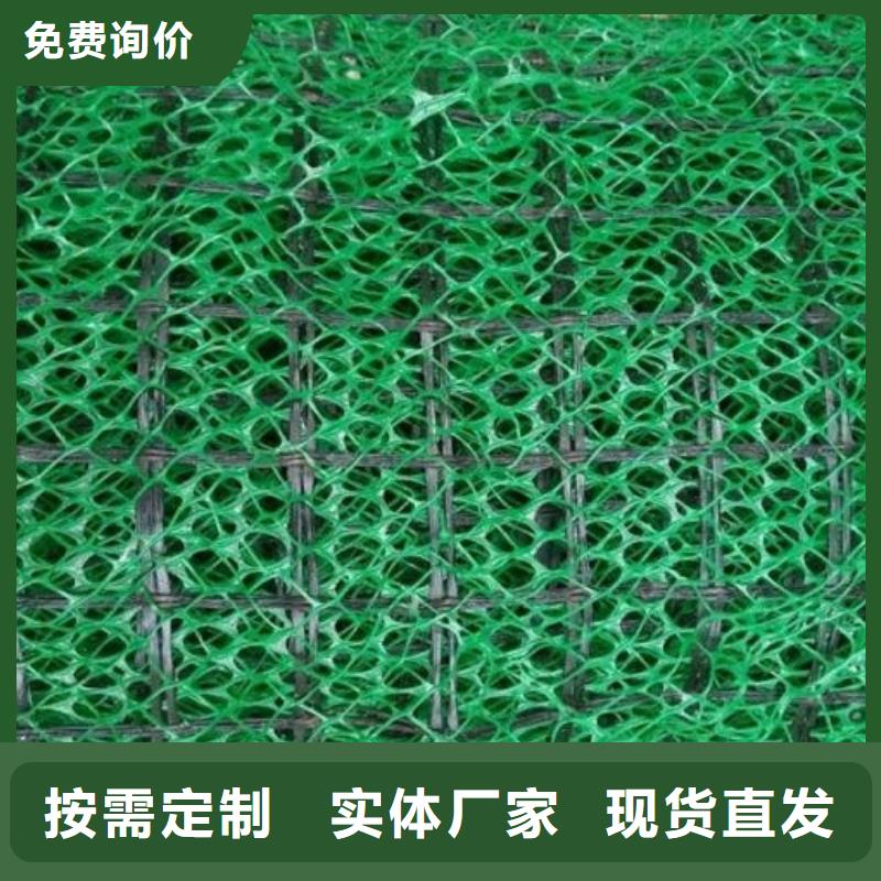 三維植被網(wǎng)【防護(hù)虹吸排水收集系統(tǒng)】支持定制加工