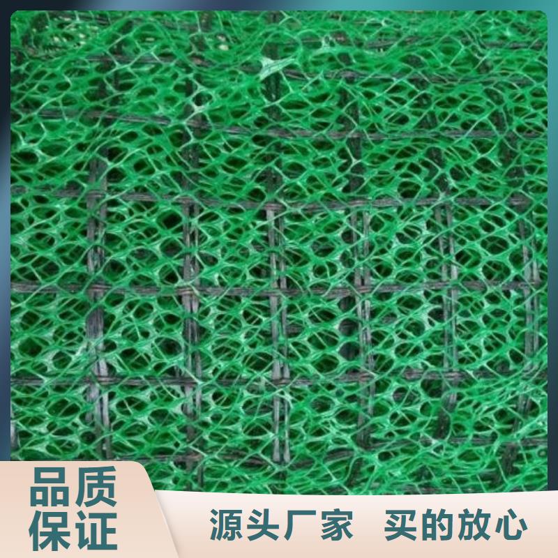 【三維植被網(wǎng)排水板優(yōu)選原材】