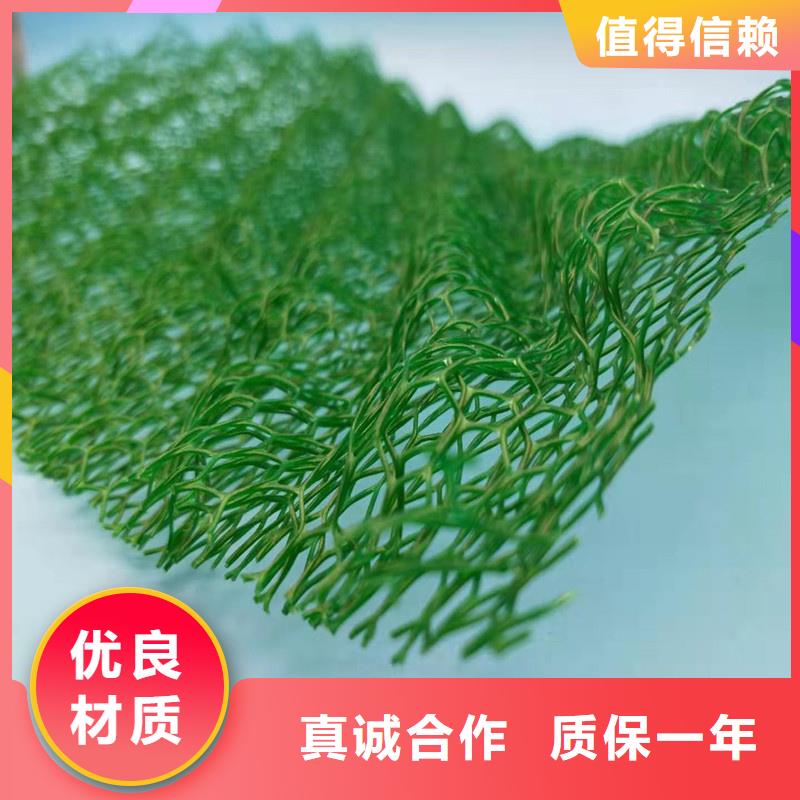 三維植被網(wǎng)植草格按需設(shè)計(jì)