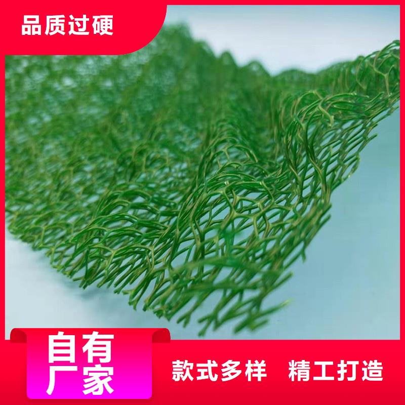 三維植被網(wǎng)水泥化糞池廠家案例
