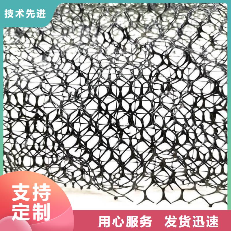 【三維植被網(wǎng)排水板優(yōu)選原材】