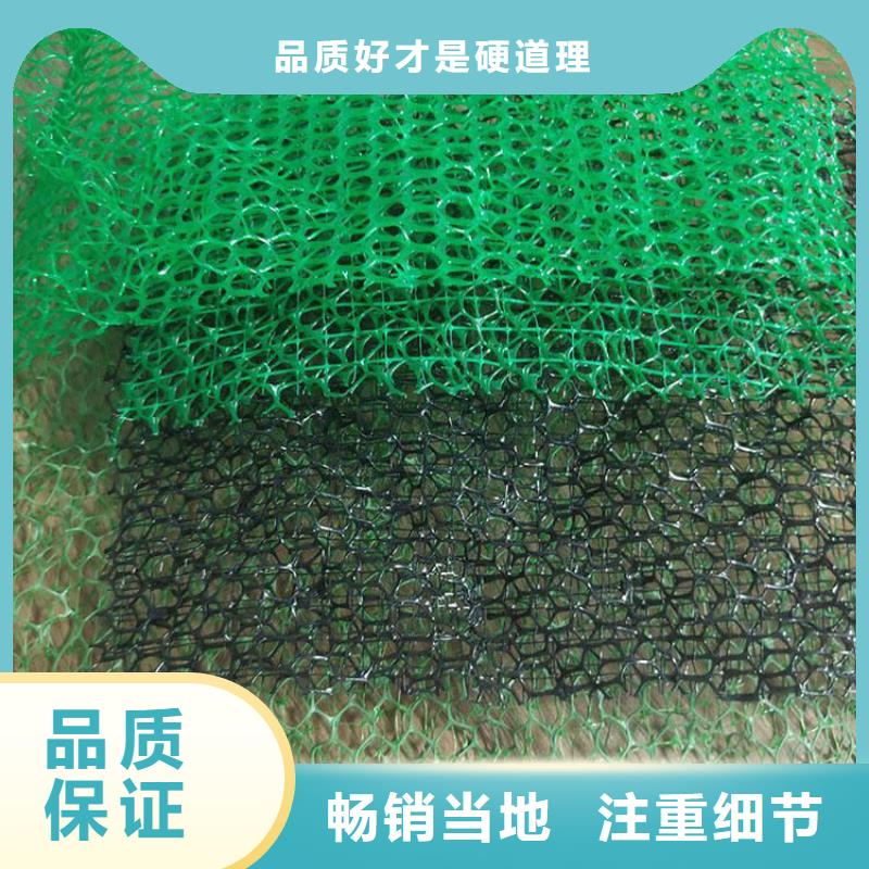 三維植被網(wǎng)邊坡復(fù)綠