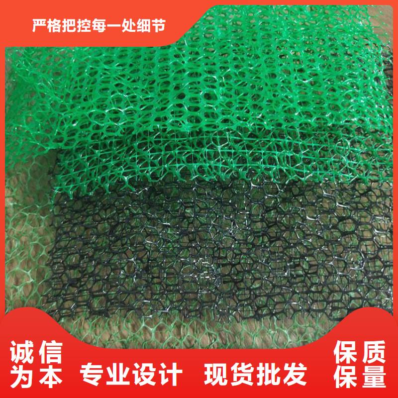 三維植被網(wǎng)價(jià)格-生產(chǎn)廠家