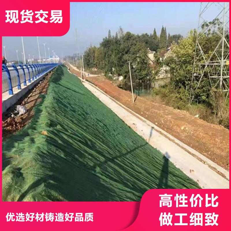 三維植被網(wǎng)植草格按需設(shè)計(jì)