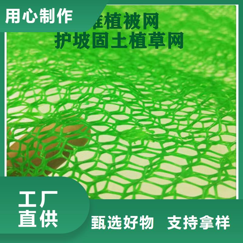 三维植被网_【防护虹吸排水收集系统】工厂自营当地品牌