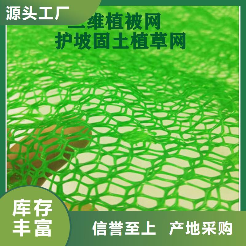 三維土工網(wǎng)墊工廠價(jià)
