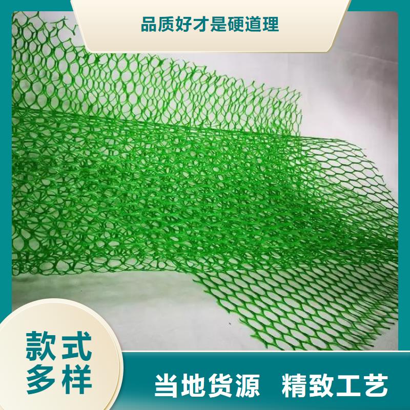 三維植被網(wǎng)價(jià)格-生產(chǎn)廠家