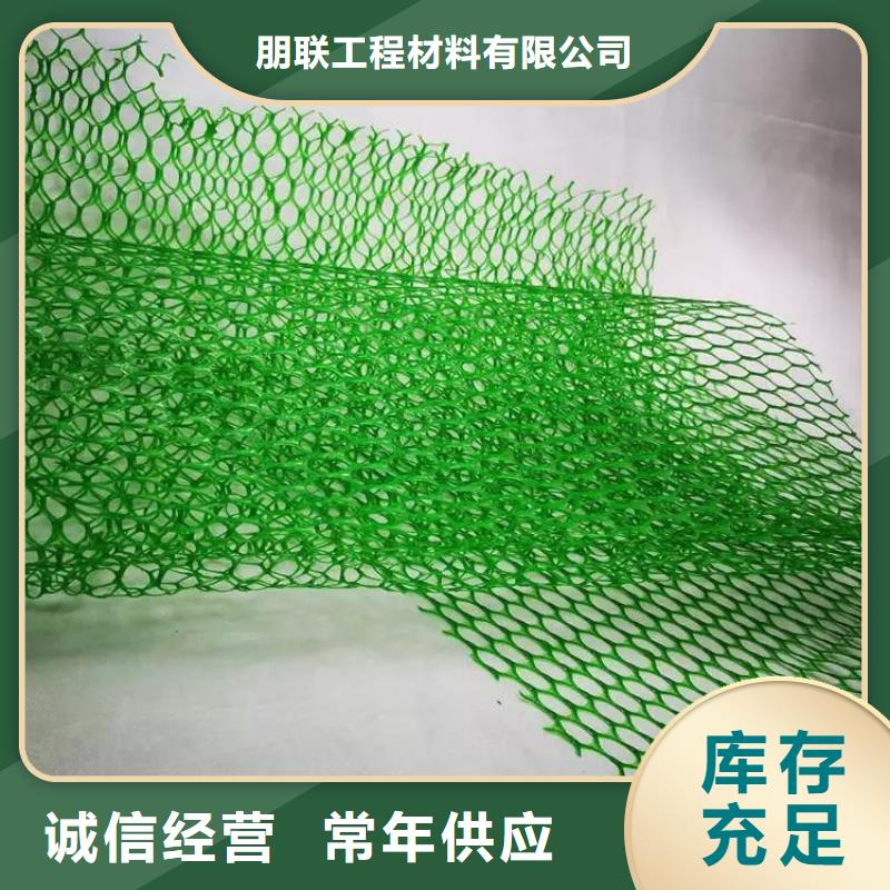三維土工網墊-三維植被網廠家