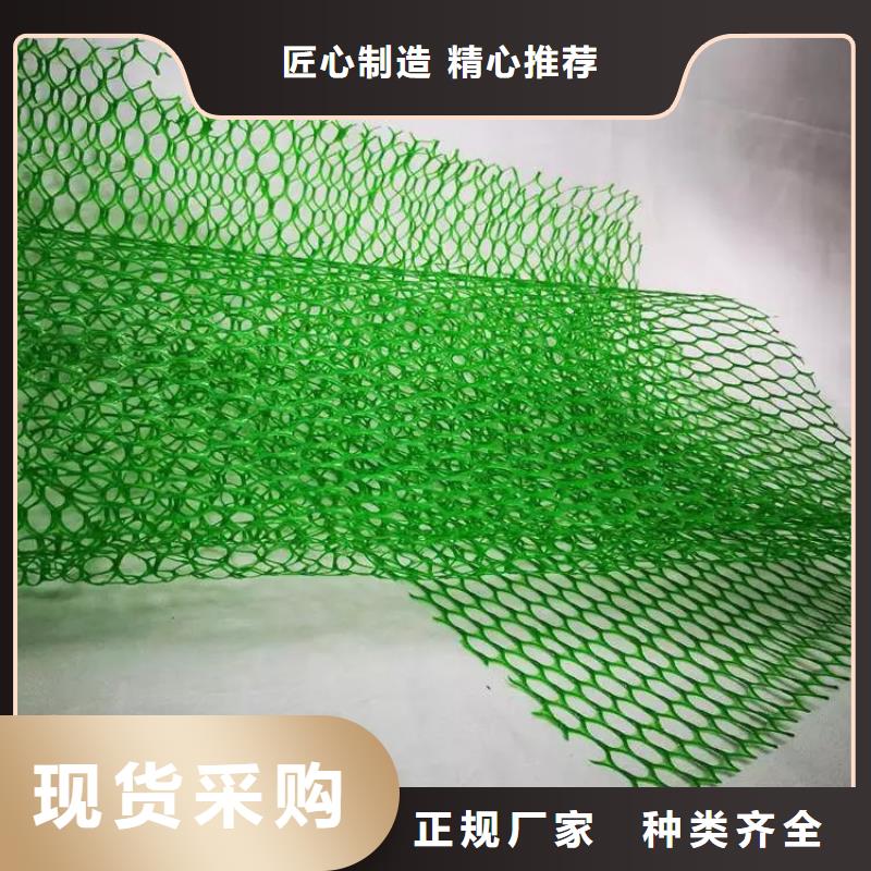 【三維植被網排水板廠家直銷規格多樣】