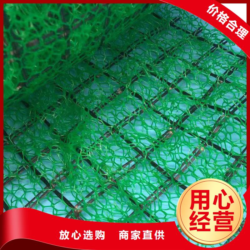 三維植被網植草格自營品質有保障