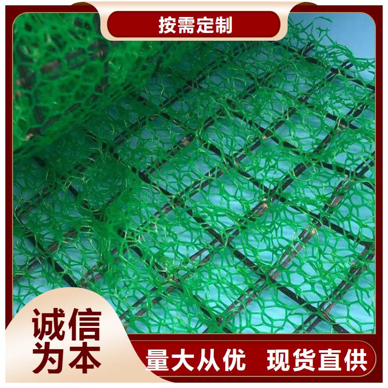 三维植被网排水板精心打造