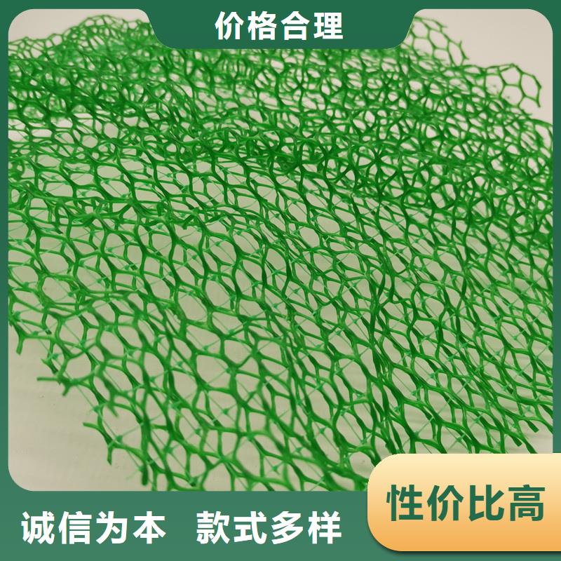 三維植被網水泥化糞池常年出售