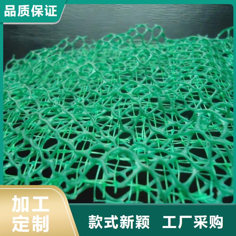 三維植被網_植草格為您提供一站式采購服務