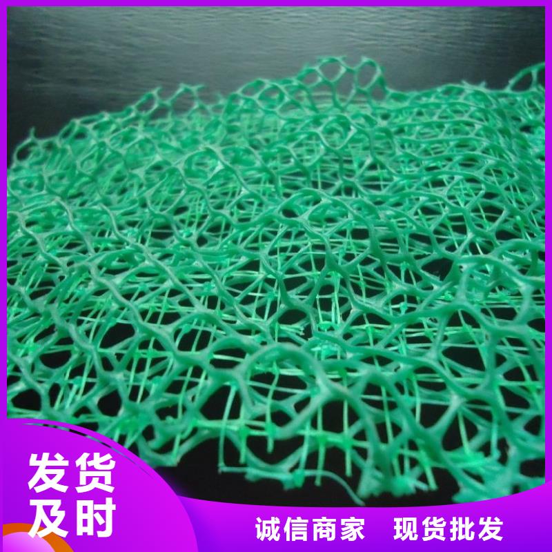 三維植被網水泥化糞池常年出售