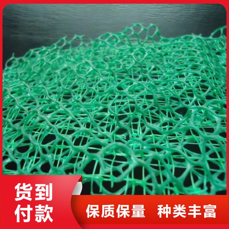 三維植被網植草格自營品質有保障