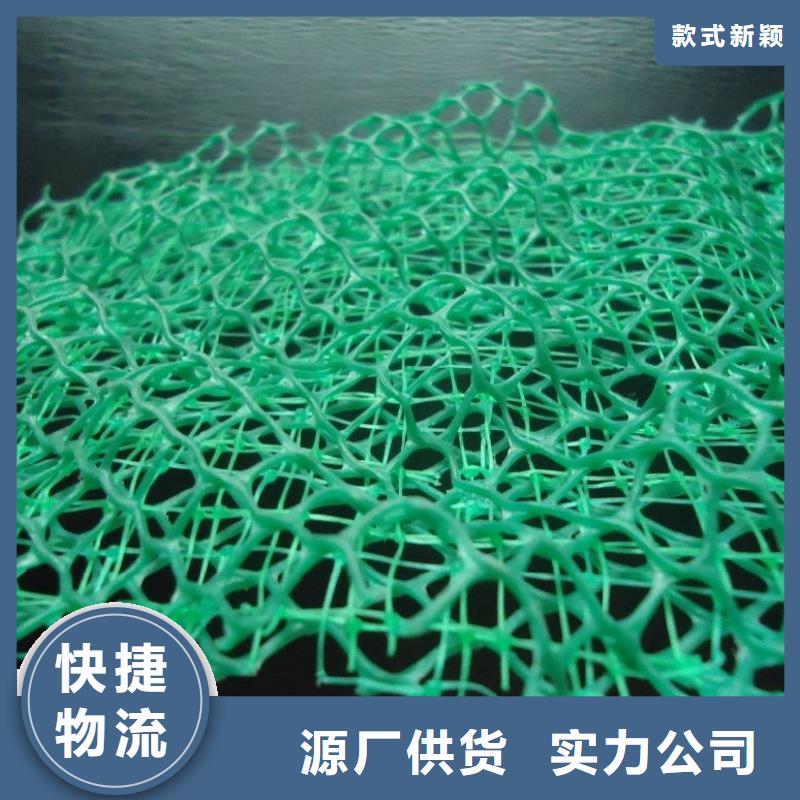 三維土工網墊閃電發貨