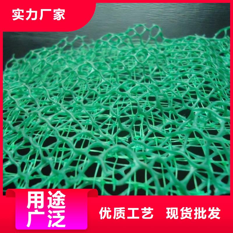 【三維植被網排水板廠家采購】
