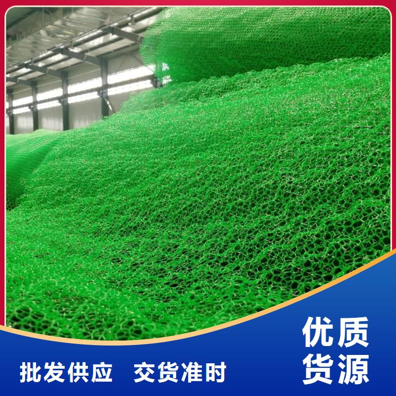 三維植被網防護虹吸排水收集系統廠家實力大