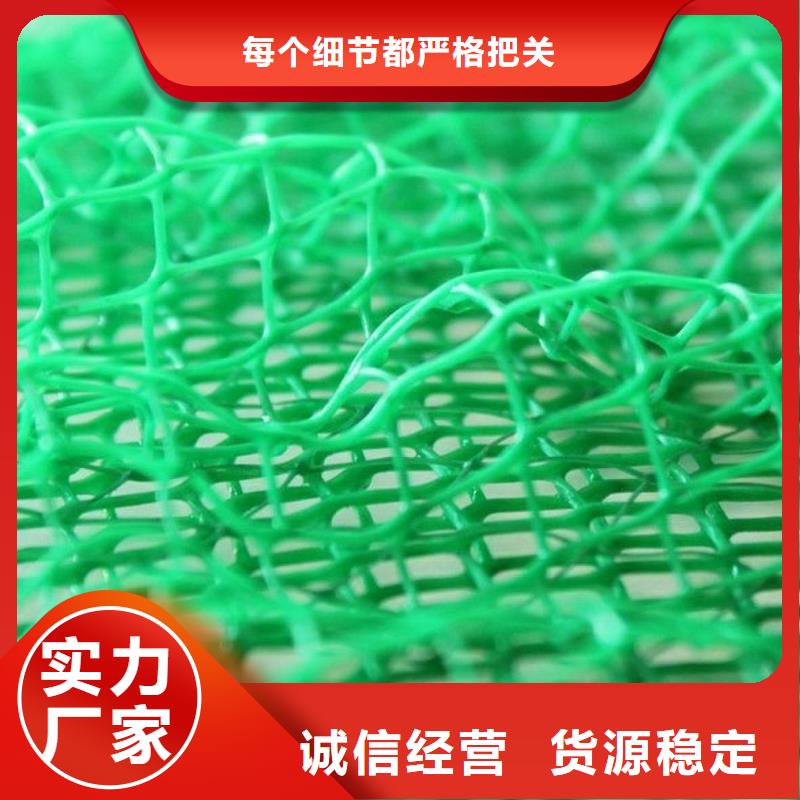 三维植被网水泥化粪池厂家案例