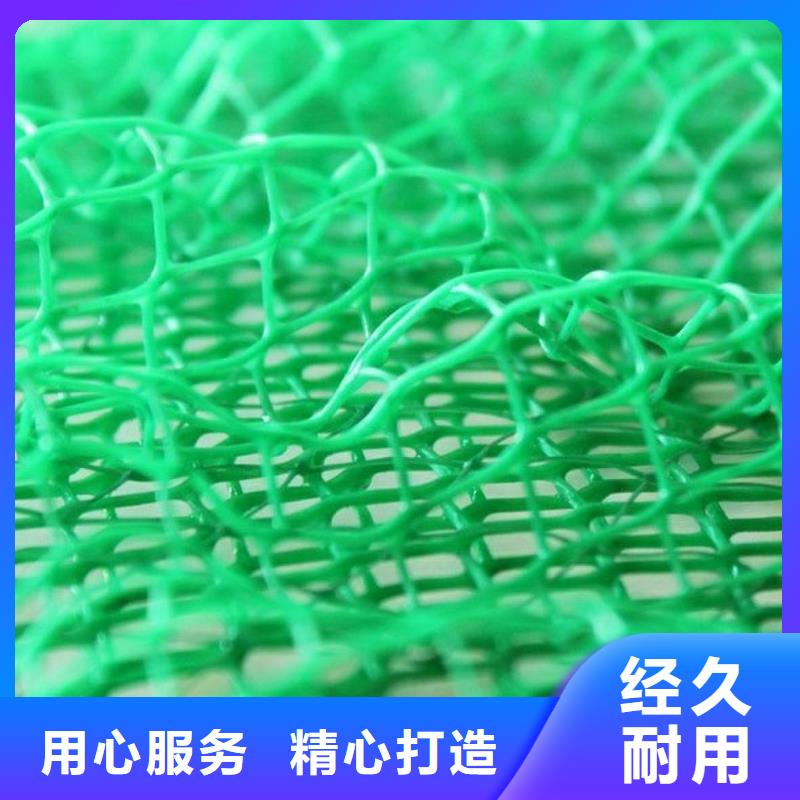 三維植被網_植草格為您提供一站式采購服務