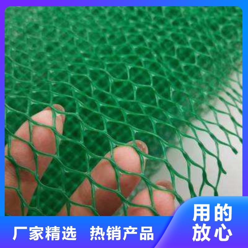 【三維植被網排水板廠家采購】