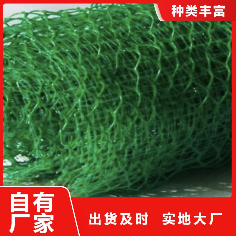 三维植被网_防护虹吸排水收集系统大库存无缺货危机