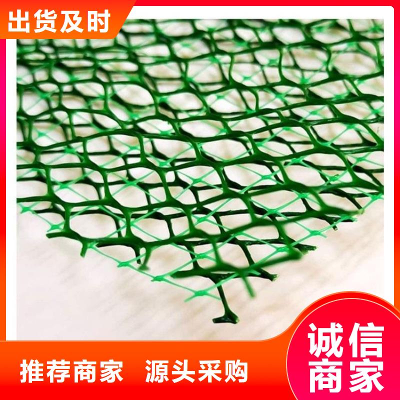 三维植被网排水板精心打造