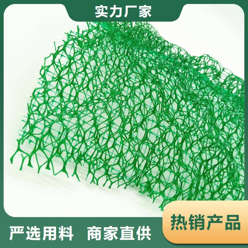 三維植被網防護虹吸排水收集系統工廠批發