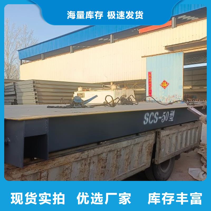 地磅_ 无线打印式电子吊秤一站式采购