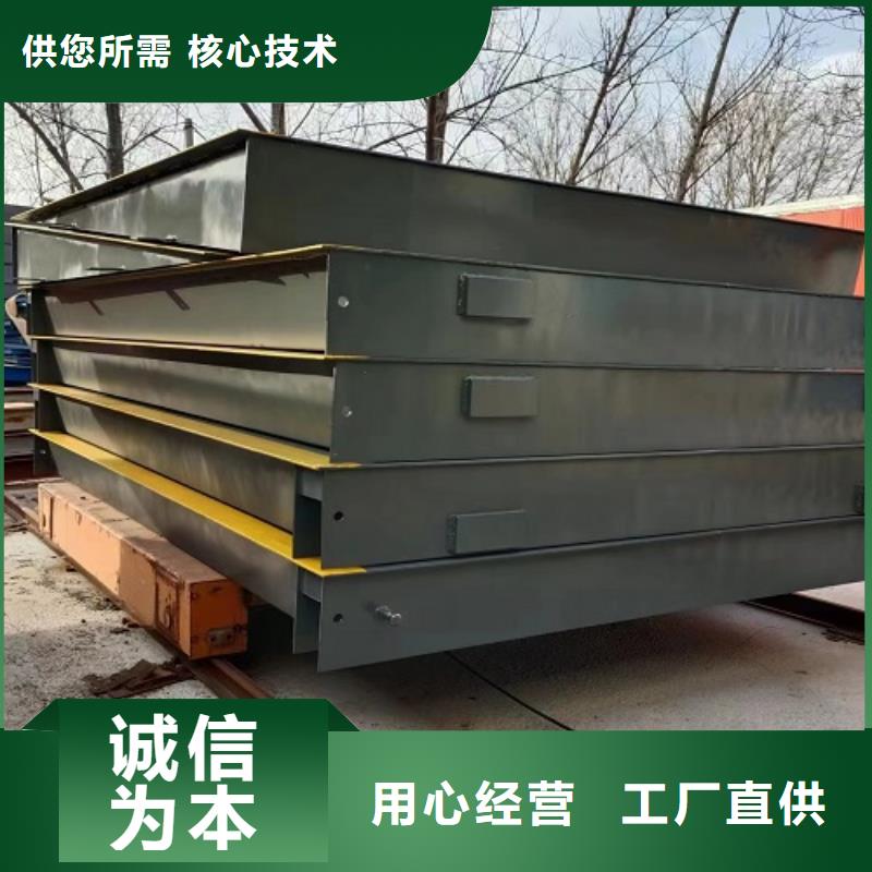 地磅電子衡器匠心制造