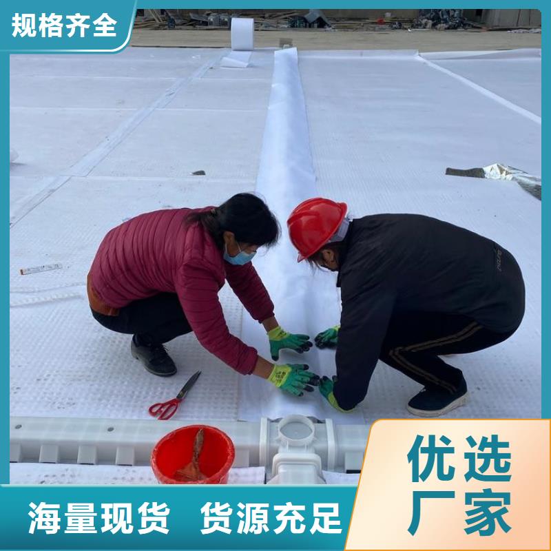 排水板_疏水板今日新品