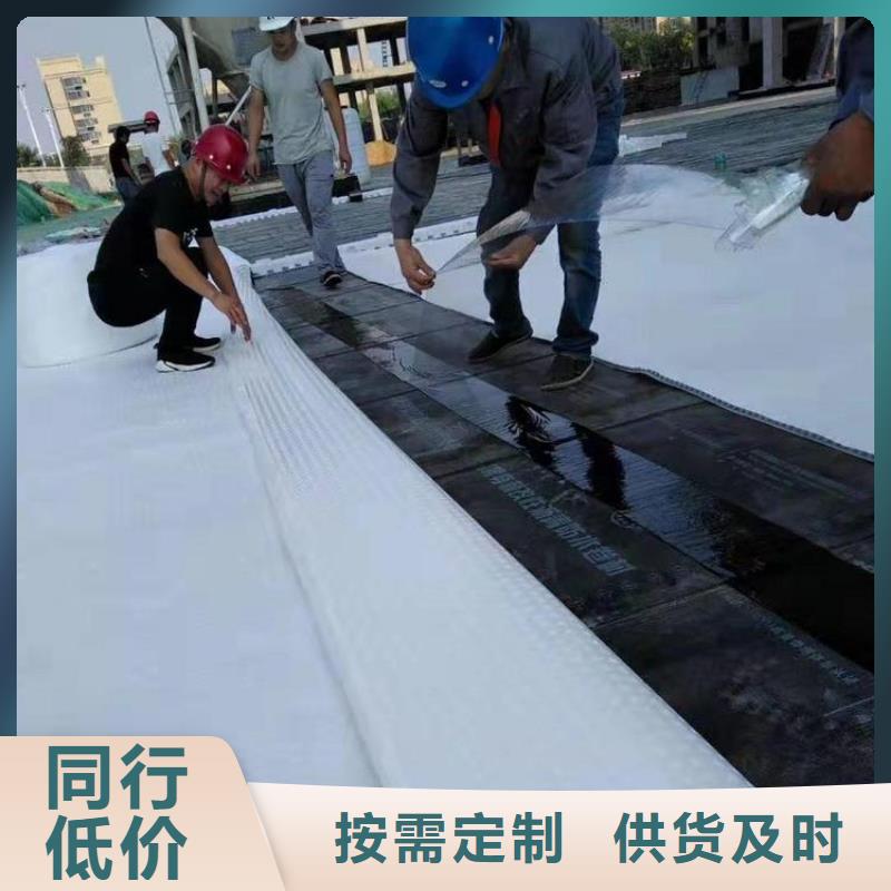 排水板_虹吸排水系统量大从优