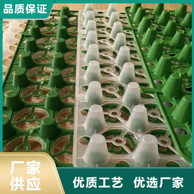  排水板现货充裕