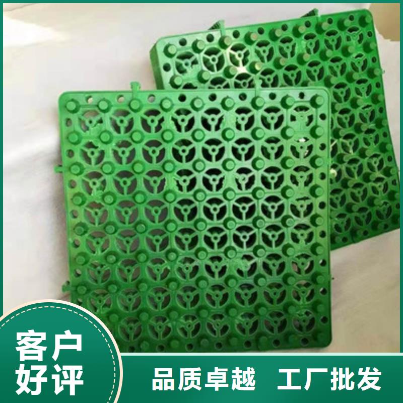 車庫頂板排水板-貨到付款